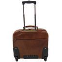 New York Exclusive Trolley Cabine bag Brown FC140207